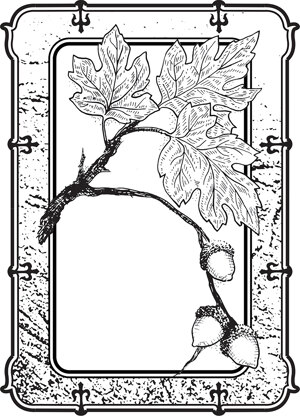 Creative Expressions Stamps To Die For By Sue Wilson - Jennifer's Acorn Journal
