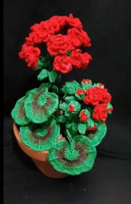 Crochet Geranium Flowers