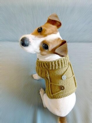 Buttoned Dog Sweater