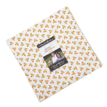 Moda Fabrics Quadrate Spring Chicken 25,4 cm – 55520LC Multi