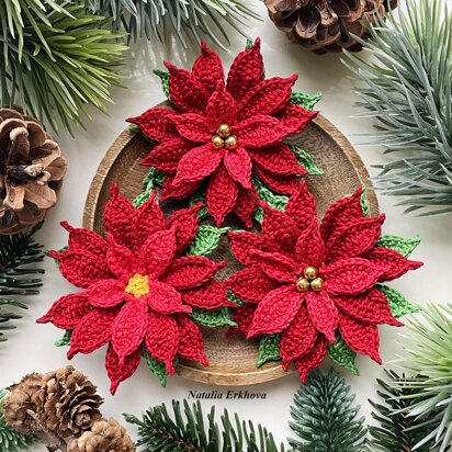 Poinsettia (Christmas Star)