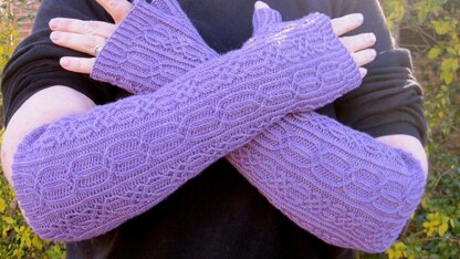 Wicklow Long Fingerless Mitts