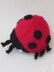 Ladybird Chocolate Orange Cosy