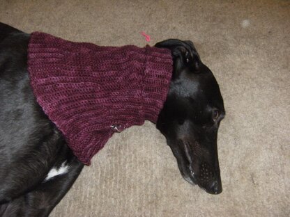 Greyhound snood