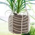 Easy Plant Hanger