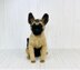 German Shepherd Dog