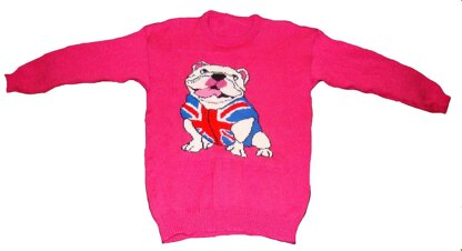 Childrens & Adults Bulldog Jumper