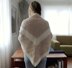 Compass Shawl