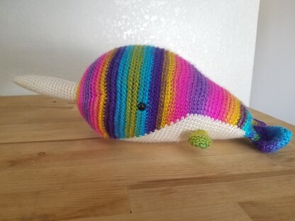 Rainbow Narwhal