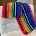 13th Doctor Who Rainbow Scarf Small