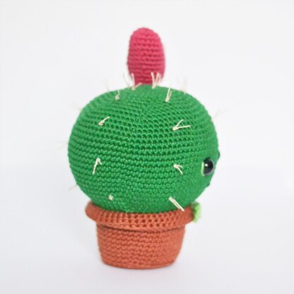 Cole the cactus