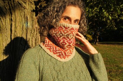 Rhinebeck Cowl