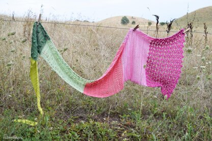 The Flower Fields Shawl