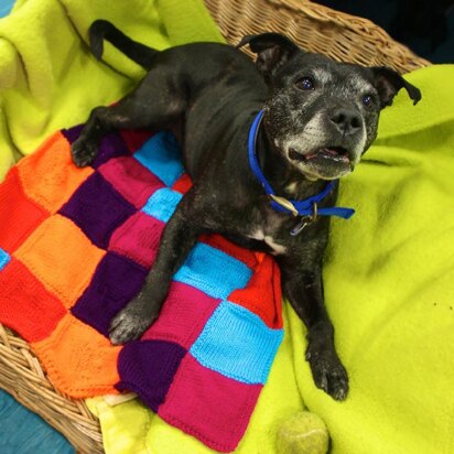 Purly Pawprint Patchwork Blanket - knitting pattern