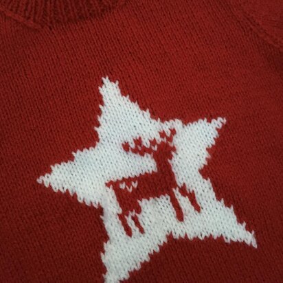 Reindeer Star sweater