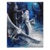 Crystal Art Midnight Messenger, 40x50cm Diamond Painting Kit