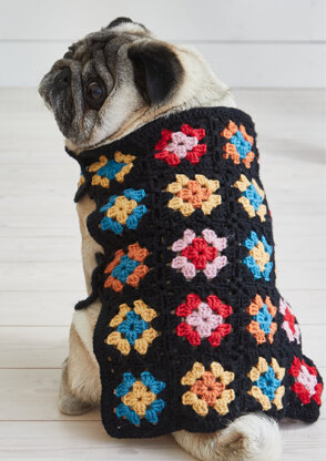 Granny square clearance dog sweater