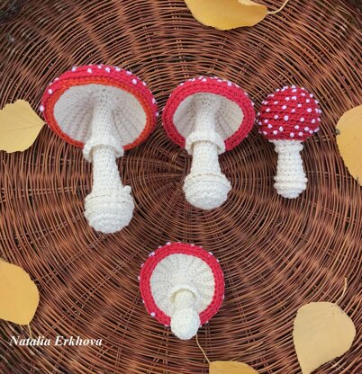 Fly agaric mushrooms