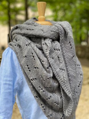 Carriage Ride Shawl