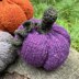 Pumpkin Patch Family [knit]