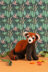 Hawthorn Handmade Red Panda Needle Felting Kit