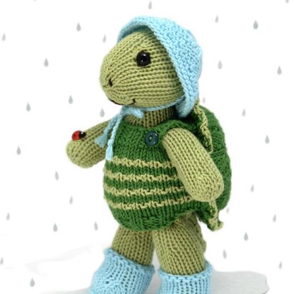 Rainy Day Turtle