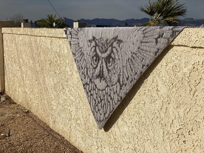 Snowy Owl Illusion Shawl