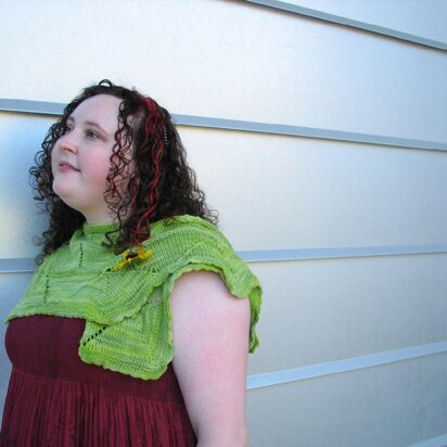 Wren Shawl - knitting pattern