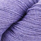 Aster Purple (23)