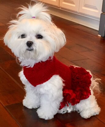 Lady in Red Dog Sweater