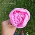 Crochet Peony Flower