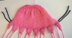 Pearl the Flapjack Octopus
