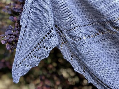 Eve Shawl