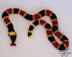 Four Snake Species Plus Basic Snakes Snoo's Knits