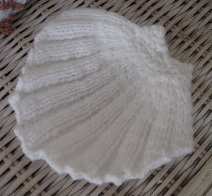 Scallop Shell