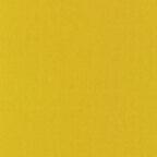 Mustard (1240)