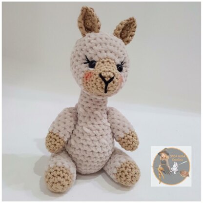 SWC Small Llama