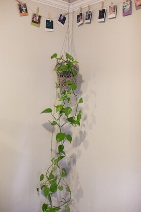 Denise's Plant Hanger