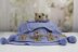 Teddy bear new born baby set