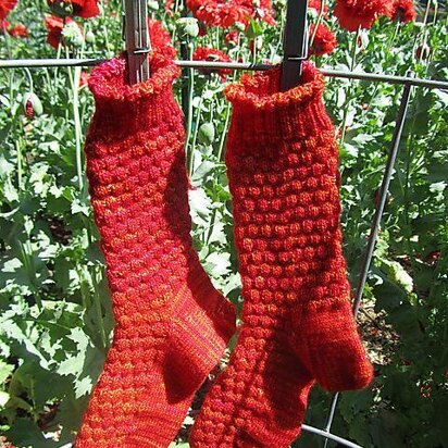 Poppies in the Garden