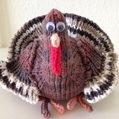 American Turkey