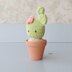 Bulby Blushing Cactus Crochet Pattern