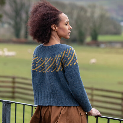 The Fibre Co. Leonida Sweater PDF