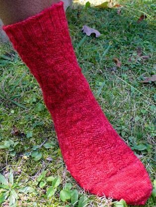 Cardigan Sock