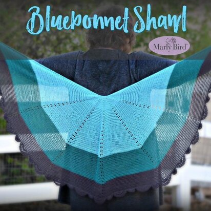 Bluebonnet Shawl