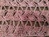 Trellis Scarf 12-116