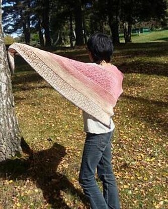 Jacob's ladder shawl