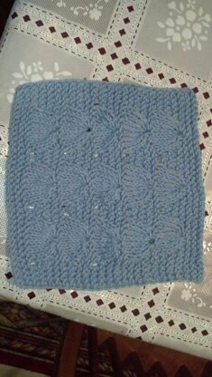 Dishcloth