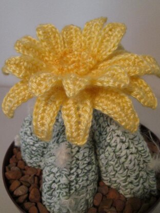 Bishop Cactus crochet