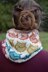 Owl Cowl